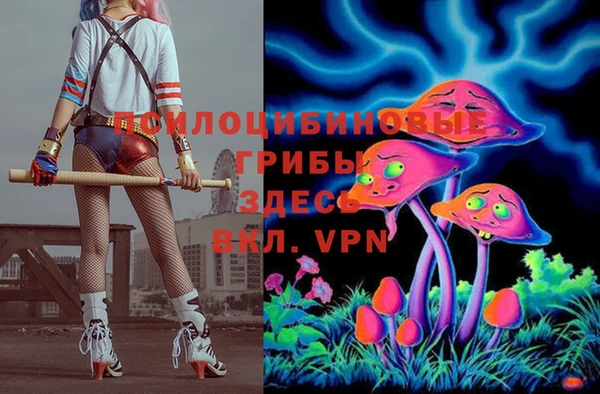 меф Арсеньев