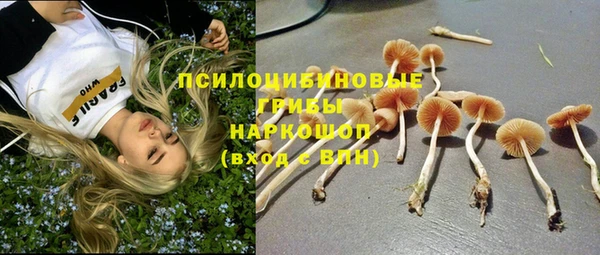 дмт Аркадак