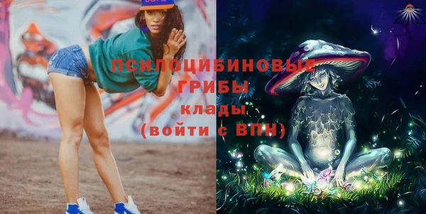 дмт Аркадак