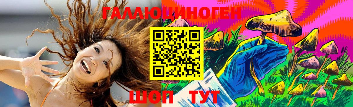 Новороссийск  Псилоцибиновые грибы GOLDEN TEACHER  Вход с VPN  Галлюциногенные грибы мухоморы 