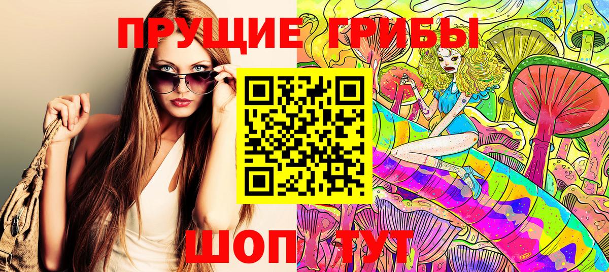 Галлюциногенные грибы Psilocybe Новороссийск